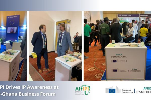 AfrIPI at EU-Ghana Business Forum