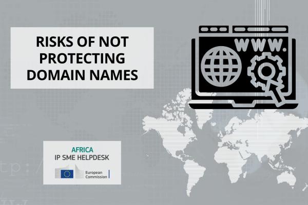 Risks of Not Protecting Domain Names